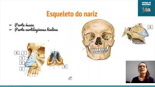 Aula de anatomia do nariz [upl. by Rossing]