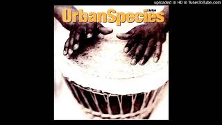 Urban Species  Spiritual love Album Edit 1994 [upl. by Nauqas]