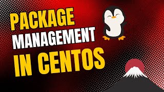 Package Management in CentOS Linux [upl. by Fairfield766]