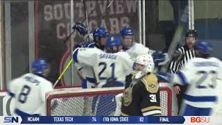 Findlay Blanks Perrysburg to Advance to Regional Hockey Semis [upl. by Deena141]