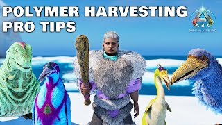 How to get the MOST POLYMER  Island  Ark Survival Ascended [upl. by Otxis]