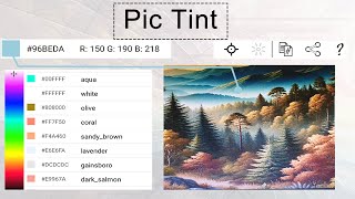 Pic Tint Camera Color Picker [upl. by Rickie829]