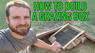 How To Build A Grazing Box For Chickens [upl. by Beaumont]