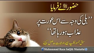 Muhammad Raza SaQib Mustafai  HUZOOR Ne Farmaya Billi Ki Waja Se Is Orat Pr Azaab Ho Raha Tha [upl. by Coppock937]