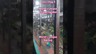 Ooty Worlds Unique Record Thread Garden musafir tour tourist tourism worldrecord record [upl. by Corwin236]