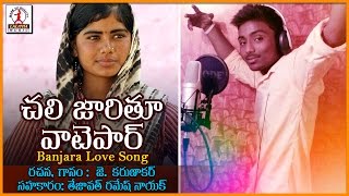 Banjara Best Love Songs  Challi Jari Banjara Popular Love Song  Lalitha Audios And Videos [upl. by Ario]