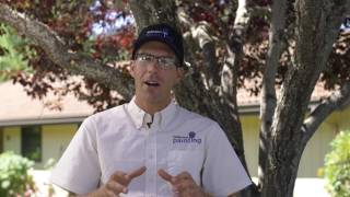 Brotherhood Painting  Multifamily Exterior Repaint Specialists [upl. by Behnken29]