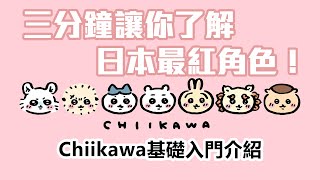 三分鐘讓你了解目前日本最紅角色！Chiikawa解說 EP1  吉伊卡哇 小可愛 [upl. by Sky]