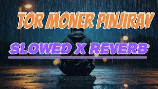 TOR MONER PINJIRAYSLOWED X REVERB [upl. by Nauqet]