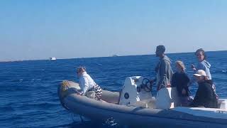 Dolphin House Tour from Makadi bay by Private speedboat rental [upl. by Darell]