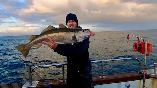 24 HOUR ROD AN LINE COMMERCIAL FISHING TRIP  Massive pollack Landing in FRANCE [upl. by Olra680]