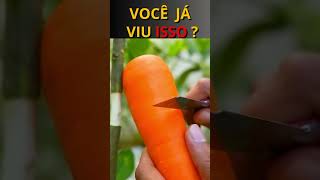 Ótima ideia para propagar um limoeiro por alporquia usando uma cenoura 🥕 limao cenoura shorts [upl. by Zuckerman]