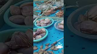 Sea food market hongkong shortvideo [upl. by Adnir537]