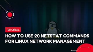 How to use 20 Netstat commands for Linux Network Management  VPS Tutorial [upl. by Serena]