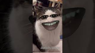 Hilarious Talking Cat  Try Not to Laugh [upl. by Mercier]