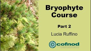 Bryophyte Course Part 2 [upl. by Eremahs56]