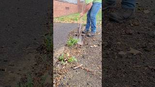 Satisfying or not lawncare cleanup oddlysatisfying cleaning asmrvideo asmr landscaping work [upl. by Esimehc]