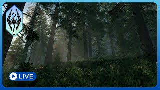 BRAND NEW WABBAJACK MODLIST  Winds of the North  Skyrim Gameplay amp First Impressions [upl. by Milla]