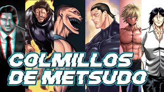 TOP LOS COLMILLOS DE METSUDO MAS PODEROSOS  KENGAN ASHURA Y OMEGA [upl. by Namolos]