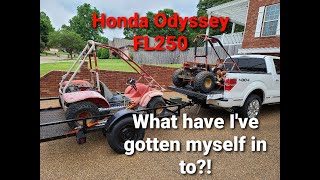 Honda Odyssey FL250 Restoration Part 1 [upl. by Barron]