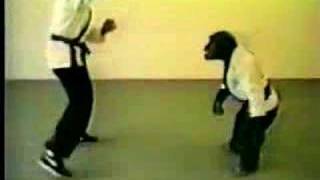 Karate Chimp REMIXED [upl. by Araf239]