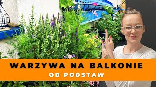 17 wskazówek jak założyć ogród warzywny na balkonie WARZYWA i ZIOŁA na balkonie dla POCZĄTKUJĄCYCH [upl. by Kurtzig846]