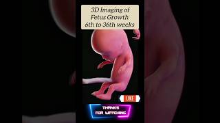 3D Imaging of Fetus growth pregnancyultrasound pregnant ultrasoundscans baby medical [upl. by Harriett]