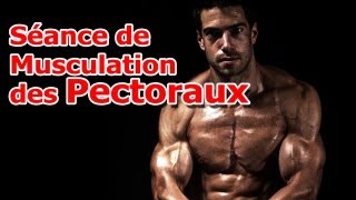 Séance de Musculation des Pectoraux [upl. by Finn175]