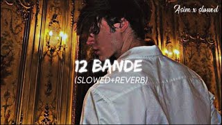 12 Bande song SlowedReverb VARINDER BRAR [upl. by Eniowtna522]