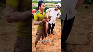 ৫কেজি শৈল মাছ ধরা5 kg rock fishing fishing rock [upl. by Aryt]