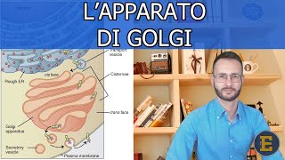 23 Lapparato di Golgi 230 minuti [upl. by Novaelc]