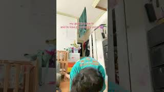 Chloe Ting 2weeks Abs workout challenge Day2 Part3 2monthspostpartum momlife 🗓️Nov222024 [upl. by Karyl]