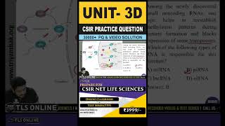 CSIR Practice Question  Unit 3 Fundamental Processes  Topic D Control of gene expression [upl. by Gnuj]