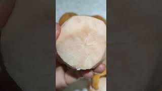 ASMR PEELING EATING SANTOL sweet santol cottonfruit satisfying tropicalfruit shorts [upl. by Yesnek]