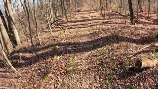 New Island Trail Fall 2024 Part 3 [upl. by Dowd922]