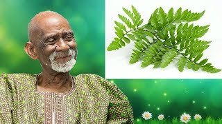 Dr Sebi Reveals Hybrid Herbs And Recommends Kalawalla [upl. by Krutz]