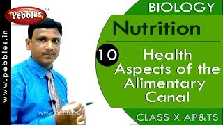 Health Aspects of the Alimentary Canal  Nutrition  Biology  Science  Class 10 [upl. by Anika]