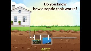 How A Septic Tank Works Septic Tank Treatment  Organica Biotech [upl. by Anitnamaid]