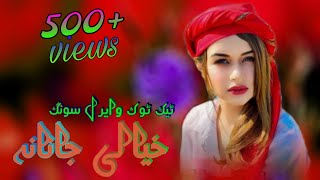 Khyali Janana Pashto Tiktok Viral Song [upl. by Grados]