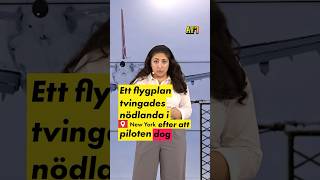 Flyg tvingades nödlanda – pilot dog [upl. by Robison29]