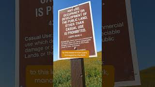 Wildflower Superbloom at Californias Carrizo Plain  SoCal Wanderer  KCET [upl. by Alleusnoc643]