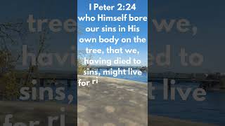 VERSE OF THE DAY  DIE TO SIN AND LIVE TO RIGHTEOUSNESS  1 PETER 224 christianfaith [upl. by Enrobso]