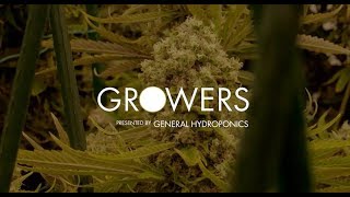 Leafly TV  Growers  Ep 104  The Giving Tree Wellness Center [upl. by Prud948]