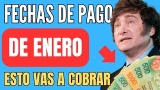 🍀 Cuando y Cuanto COBRO ANSES ENERO 📣 Jubilados Pensionados AUH PNC SUAF ✚ Fechas de Pago [upl. by Heller153]