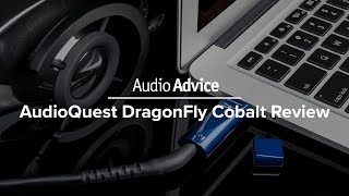 AudioQuest DragonFly Cobalt USB DAC and Headphone Amp Review [upl. by Boni]