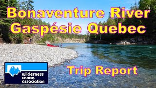 Bonaventure River Trip Report [upl. by Aedrahs560]