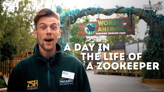 A Day In The Life Of A Zookeeper [upl. by Drageruaeb927]