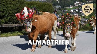 Almabtrieb Reith im Alpbachtal in Tirol [upl. by Barnaba]