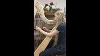 Oro Se Do Bheatha Bhaile harp and voice [upl. by Bunker207]