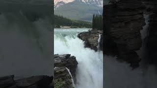 Athabasca Waterfall Jasper  Canada nature travel waterfall jasper canada [upl. by Lliw]